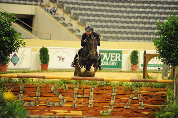 USHJA-Derby-8-21-10-Rnd2-DER1_9630-Declaration-ScottStewart-DDeRosaPhoto.JPG