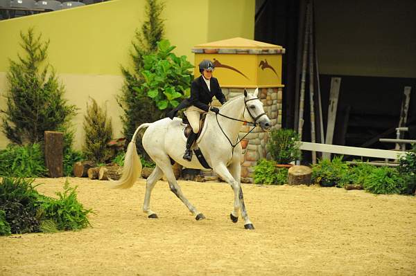 USHJA-Derby-8-21-10-Rnd2-DER1_9687-LouiseSerio-CastleRock-DDeRosaPhoto.JPG
