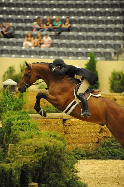 USHJA-Derby-8-21-10-Rnd2-DER1_9756-EarlyApplause-MaggieJayne-DDeRosaPhoto.JPG