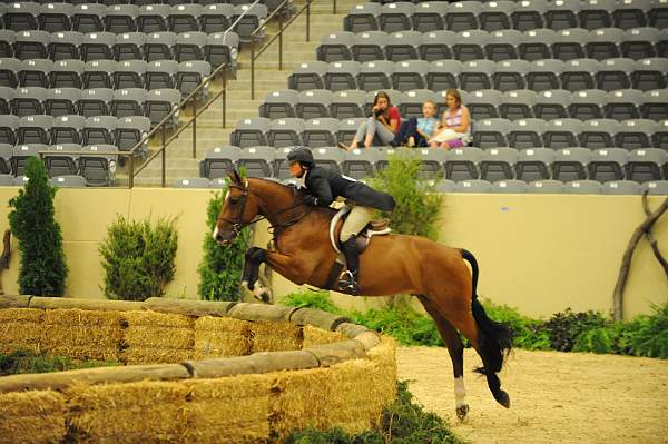 USHJA-Derby-8-21-10-Rnd2-DER1_9842-CRHaribo-ColleenAcosta-DDeRosaPhoto.JPG