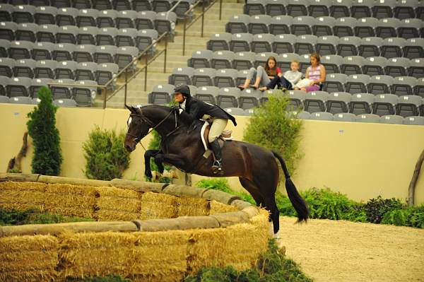 USHJA-Derby-8-21-10-Rnd2-DER1_9935-Posse-ColleenAcosta-DDeRosaPhoto.JPG