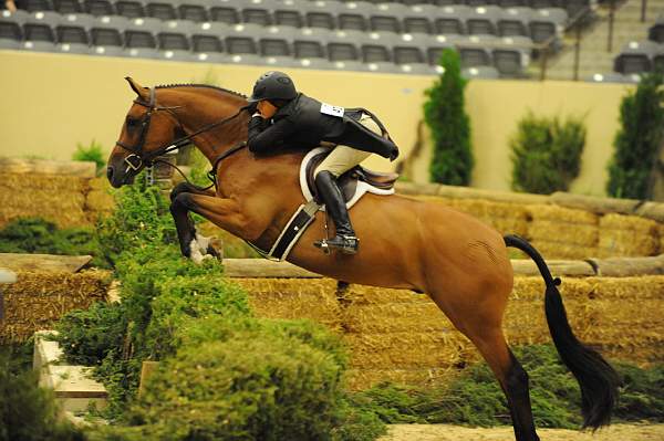USHJA-Derby-8-21-10-Rnd2-DER1_9967-WorldTime-VictoriaColvin-DDeRosaPhoto.JPG