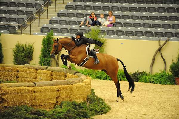 USHJA-Derby-8-21-10-Rnd2-DER1_9970-WorldTime-VictoriaColvin-DDeRosaPhoto.JPG