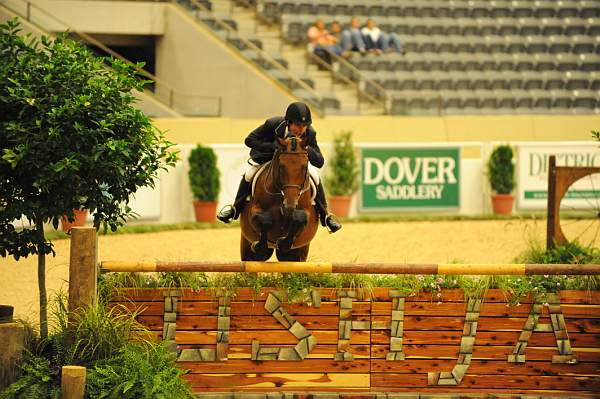 USHJA-Derby-8-21-10-Rnd2-DER1_9993-TellAll-PeterPletcher-DDeRosaPhoto.JPG