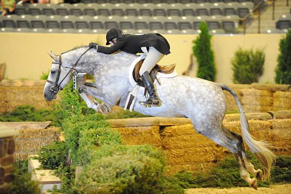 USHJA-Derby-Rnd2-DER2_0011-Listen-KelleyFarmer-DDeRosaPhoto.JPG