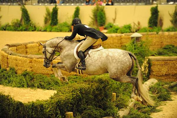 USHJA-Derby-Rnd3-DER2_0113-Listen-KelleyFarmer-DDeRosaPhoto.JPG