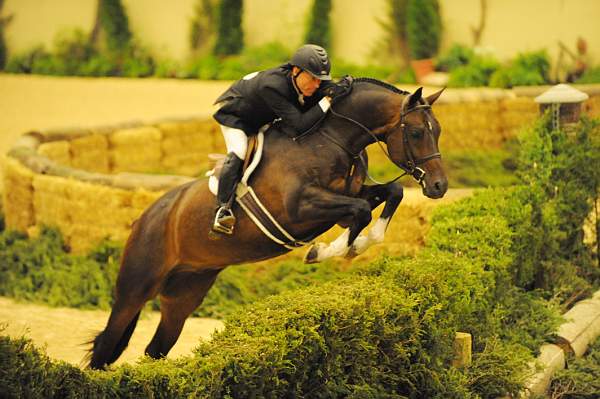 USHJA-Derby-Rnd3-DER2_0125-Declaration-ScottStewart-DDeRosaPhoto.jpg