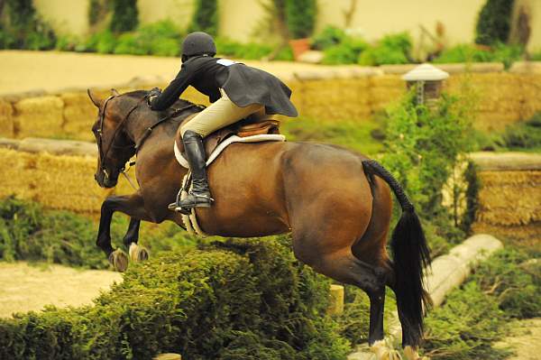 USHJA-Derby-Rnd3-DER2_0154-Francesca-MaggieJayne-DDeRosaPhoto.jpg