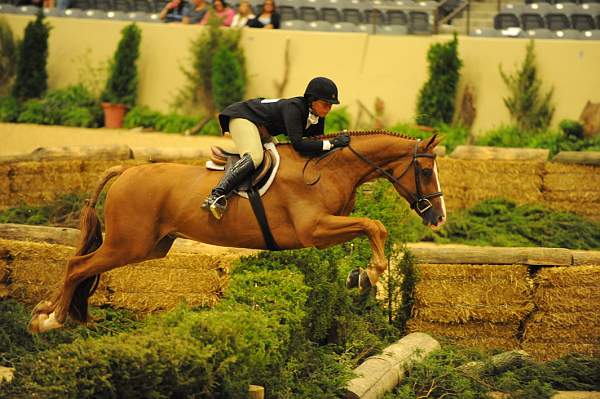 USHJA-Derby-Rnd3-DER2_0189-JerseyBoy-JenniferAlfano--DDeRosaPhoto.JPG