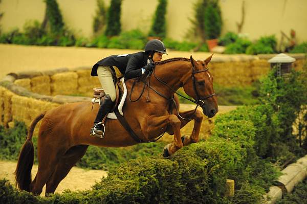 USHJA-Derby-Rnd3-DER2_0218-Brunello-ElizabethBoyd-DDeRosaPhoto.JPG