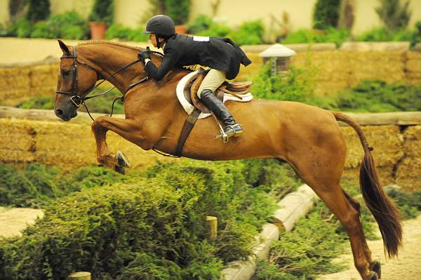 USHJA-Derby-Rnd3-DER2_0219-Brunello-ElizabethBoyd-DDeRosaPhoto.jpg