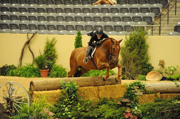 USHJA-Derby-Rnd3-DER2_0225-Brunello-ElizabethBoyd-DDeRosaPhoto.JPG