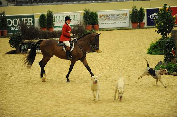 USHJA-Derby-8-20-10-CrseWk-DER_7382-DDeRosaPhoto.jpg