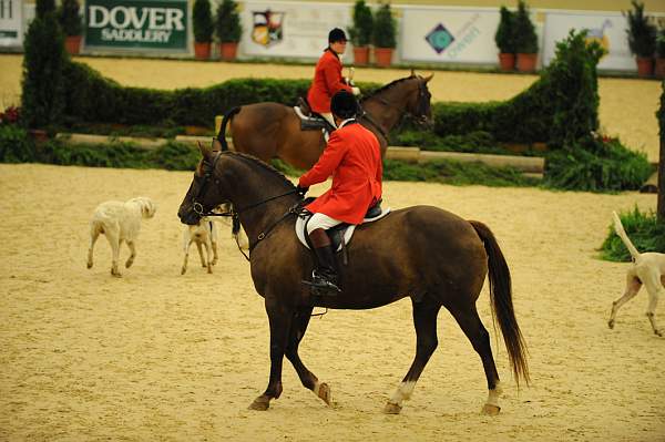 USHJA-Derby-8-20-10-CrseWk-DER_7387-DDeRosaPhoto.jpg