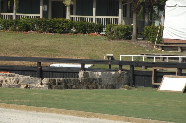 28-WEF-1-6-08-DeRosaPhoto.jpg