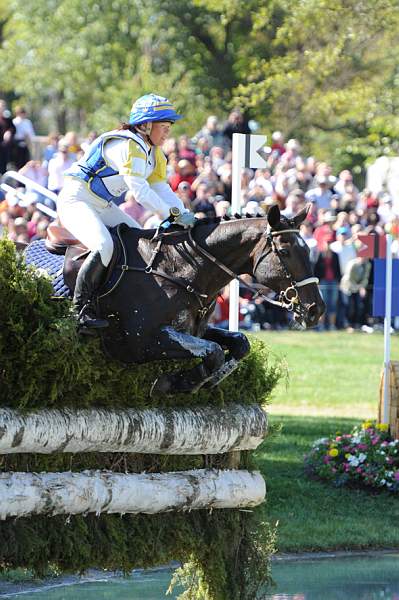 WEG2-10-2-10-EV-XX-3415-BallysGeronimo-ViktoriaCarlerback-DDeRosaPhoto.jpg