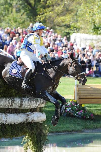 WEG2-10-2-10-EV-XX-3416-BallysGeronimo-ViktoriaCarlerback-DDeRosaPhoto.jpg