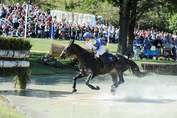 WEG2-10-2-10-EV-XX-3454-BallysGeronimo-ViktoriaCarlerback-DDeRosaPhoto.jpg