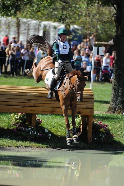 WEG2-10-2-10-EV-XX-3664-Kardinal-MartynSwanepoel-DDeRosaPhoto.JPG