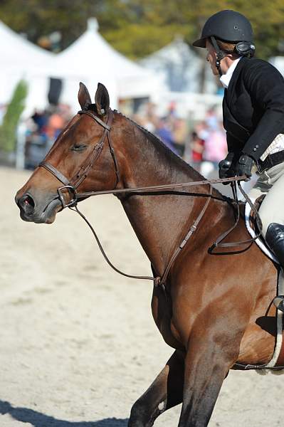 WEG3-10-6-10-Hunters-3510-DDeRosaPhoto.jpg