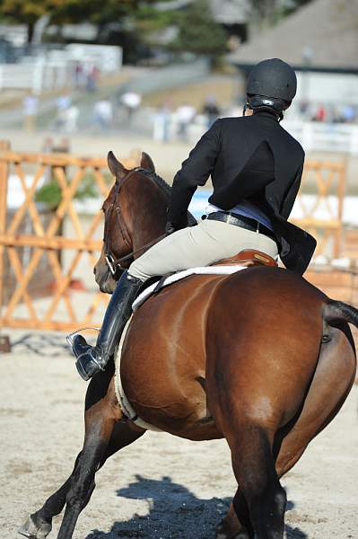 WEG3-10-6-10-Hunters-3511-DDeRosaPhoto.jpg