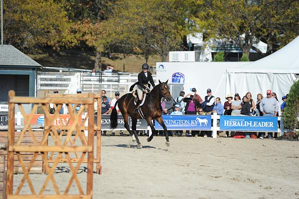 WEG3-10-6-10-Hunters-3520-DDeRosaPhoto.jpg