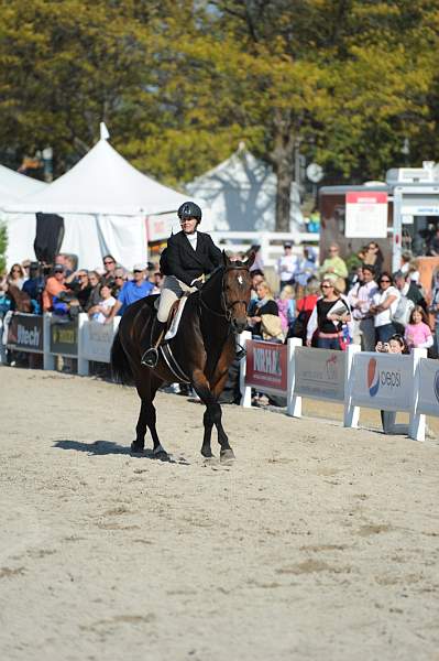 WEG3-10-6-10-Hunters-3521-DDeRosaPhoto.jpg