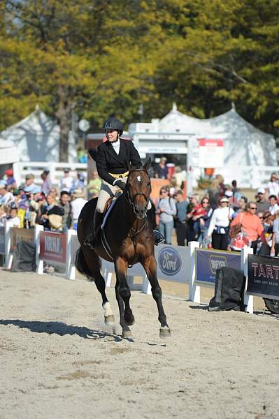 WEG3-10-6-10-Hunters-3522-DDeRosaPhoto.jpg