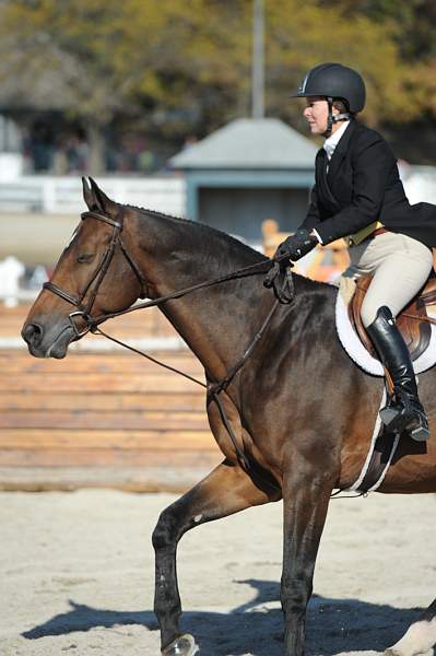 WEG3-10-6-10-Hunters-3524-DDeRosaPhoto.jpg