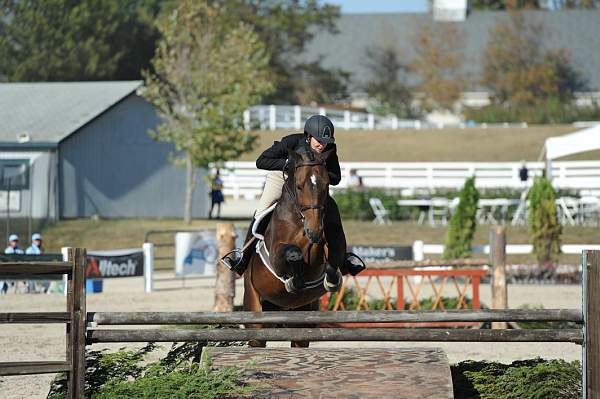 WEG3-10-6-10-Hunters-3531-DDeRosaPhoto.jpg