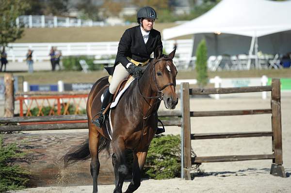 WEG3-10-6-10-Hunters-3532-DDeRosaPhoto.jpg