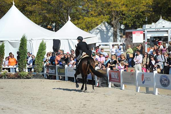 WEG3-10-6-10-Hunters-3535-DDeRosaPhoto.jpg