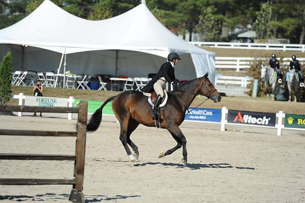 WEG3-10-6-10-Hunters-3541-DDeRosaPhoto.jpg
