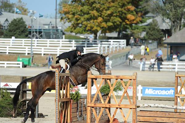 WEG3-10-6-10-Hunters-3544-DDeRosaPhoto.jpg