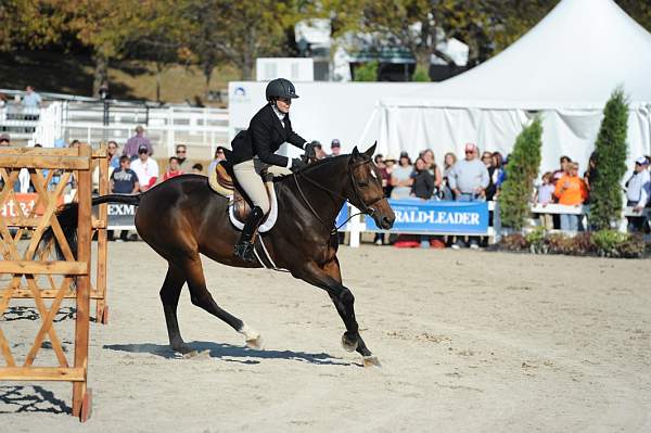 WEG3-10-6-10-Hunters-3545-DDeRosaPhoto.jpg