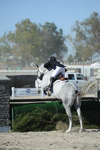 WEG3-10-6-10-Hunters-3570-DDeRosaPhoto.jpg