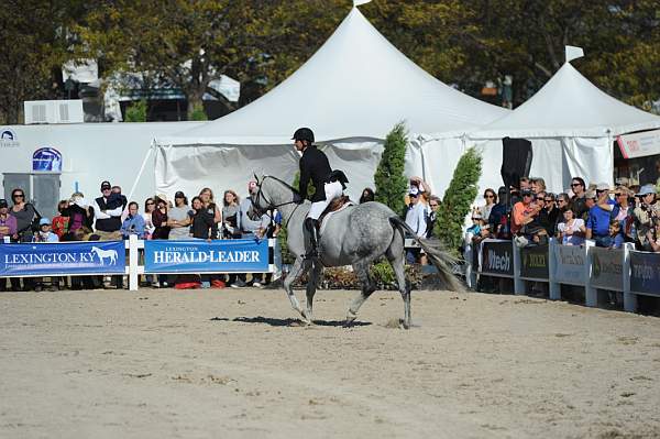 WEG3-10-6-10-Hunters-3574-DDeRosaPhoto.jpg
