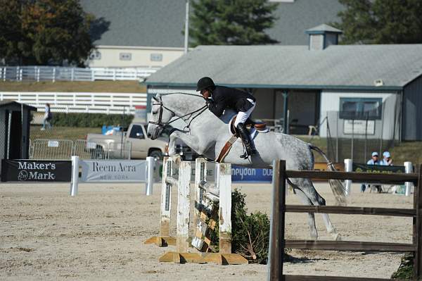 WEG3-10-6-10-Hunters-3577-DDeRosaPhoto.jpg