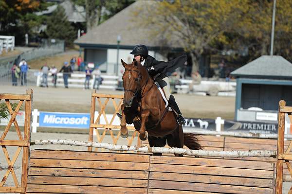 WEG3-10-6-10-Hunters-3604-DDeRosaPhoto.jpg