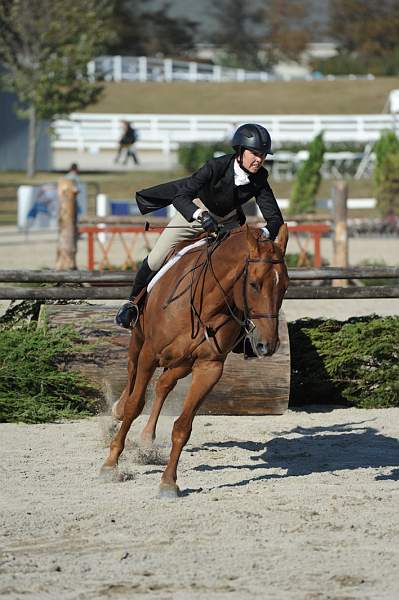 WEG3-10-6-10-Hunters-3609-DDeRosaPhoto.jpg