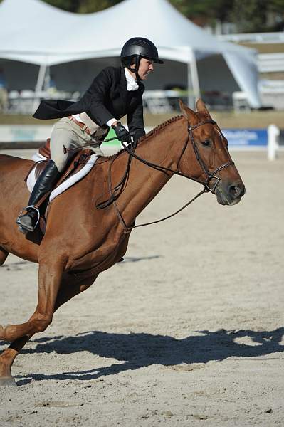 WEG3-10-6-10-Hunters-3610-DDeRosaPhoto.jpg