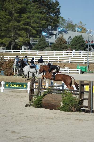 WEG3-10-6-10-Hunters-3613-DDeRosaPhoto.jpg