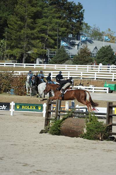 WEG3-10-6-10-Hunters-3614-DDeRosaPhoto.jpg