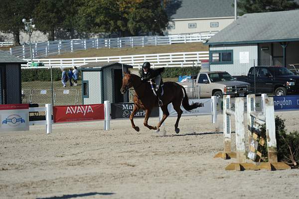 WEG3-10-6-10-Hunters-3617-DDeRosaPhoto.jpg