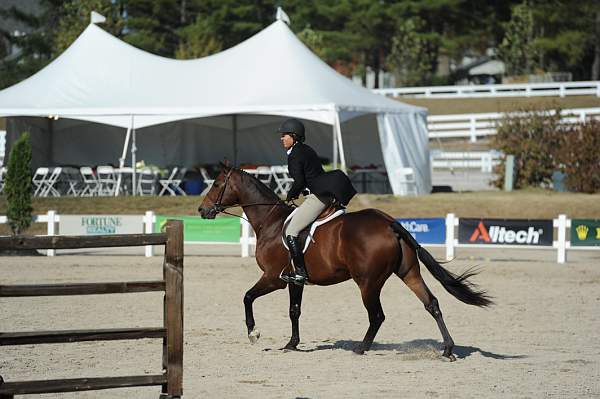 WEG3-10-6-10-Hunters-3623-DDeRosaPhoto.jpg