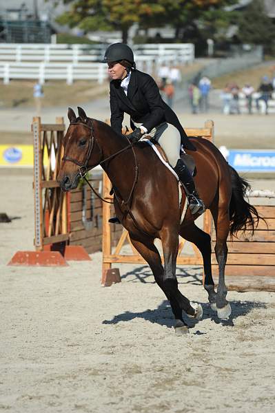 WEG3-10-6-10-Hunters-3630-DDeRosaPhoto.jpg