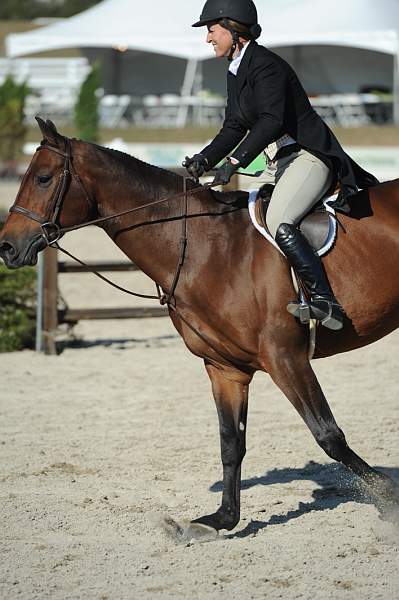WEG3-10-6-10-Hunters-3631-DDeRosaPhoto.jpg
