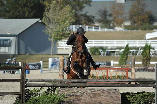 WEG3-10-6-10-Hunters-3632-DDeRosaPhoto.jpg