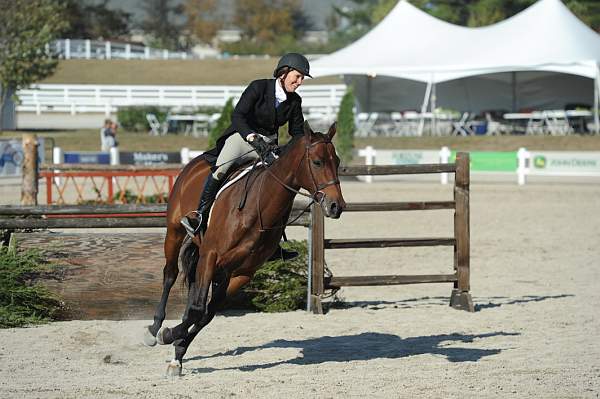 WEG3-10-6-10-Hunters-3634-DDeRosaPhoto.jpg