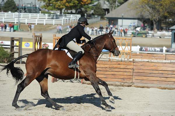 WEG3-10-6-10-Hunters-3636-DDeRosaPhoto.jpg